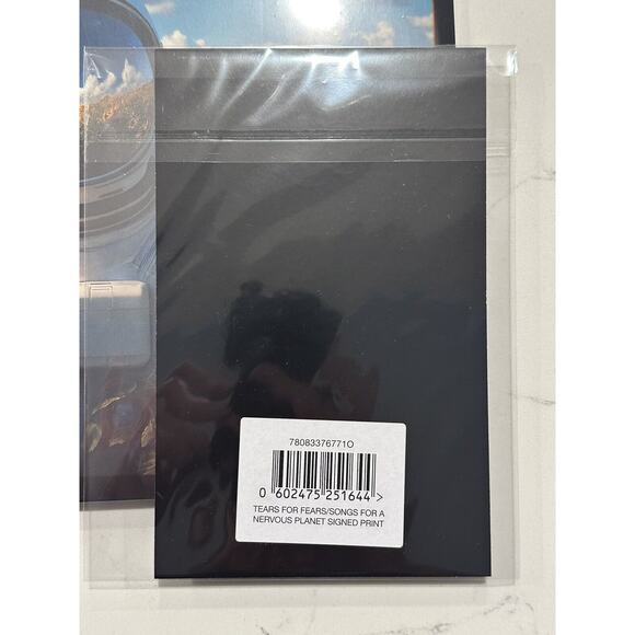 Tears For Fears Songs for a Nervous planet Cream colored Vinyl & Signed print - Picture 6 of 12